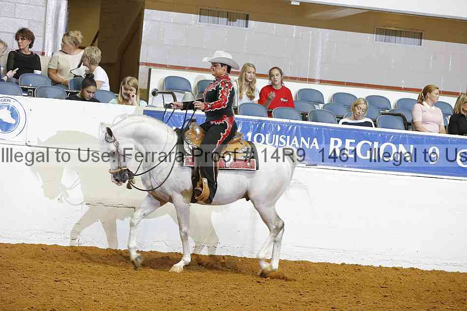 Proof Number 14r9_1461