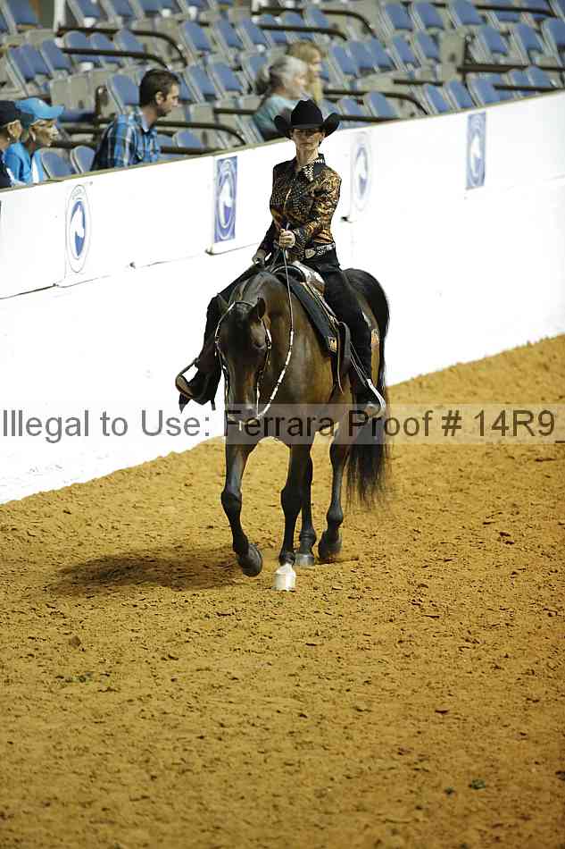 Proof Number 14r9_1468