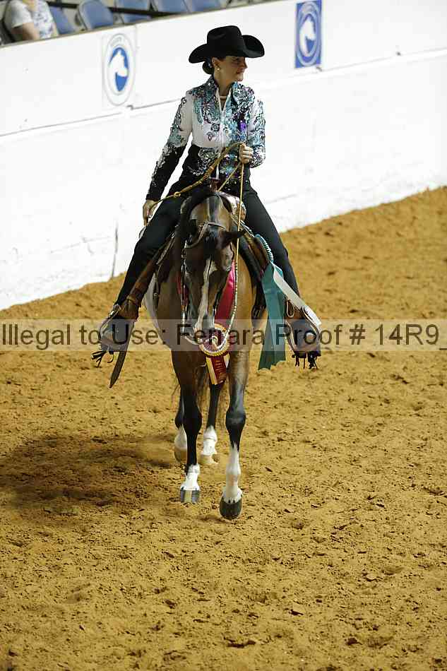Proof Number 14r9_1475