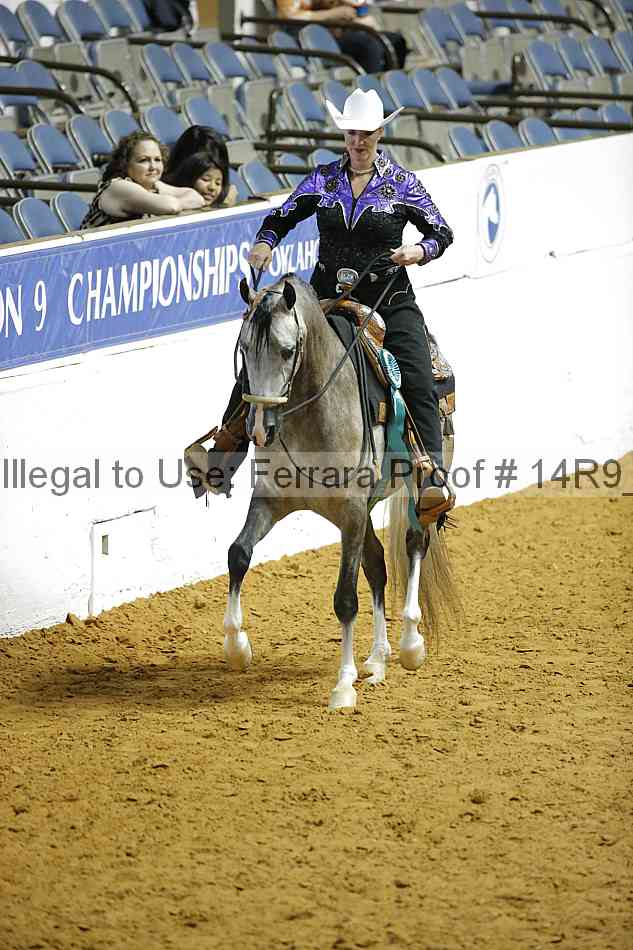 Proof Number 14r9_1483