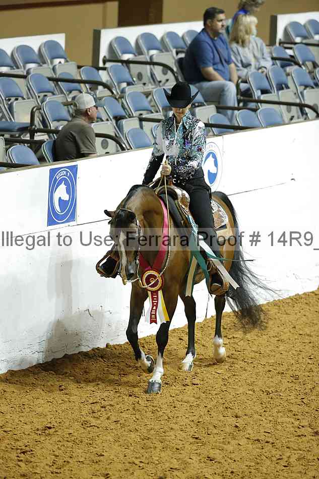 Proof Number 14r9_1494
