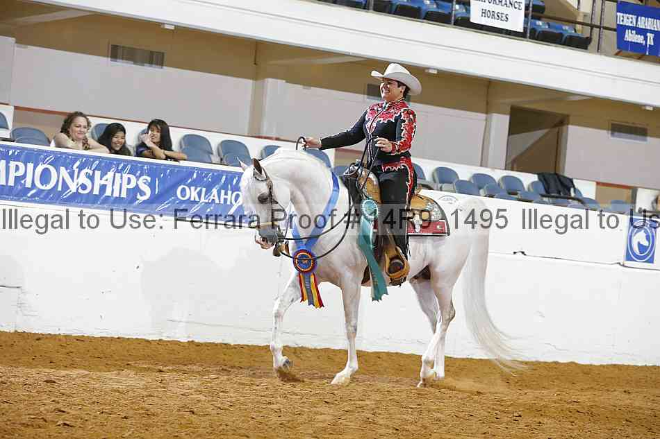 Proof Number 14r9_1495