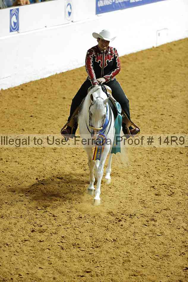 Proof Number 14r9_1497