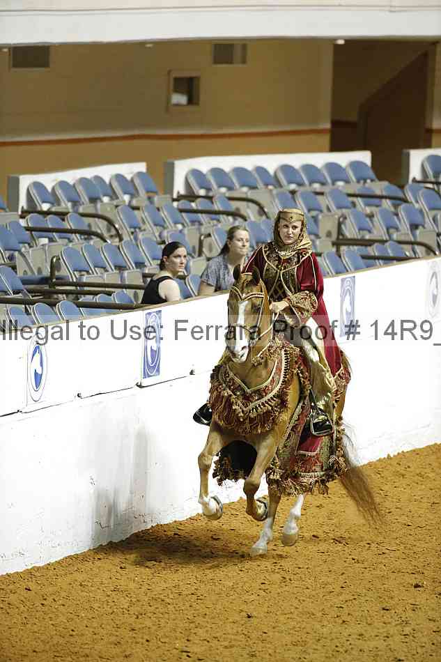Proof Number 14r9_1506