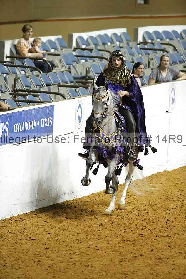 Proof Number 14r9_1515