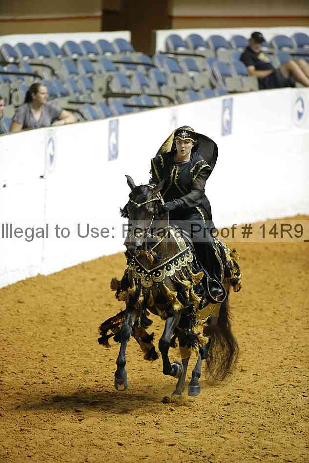 Proof Number 14r9_1517