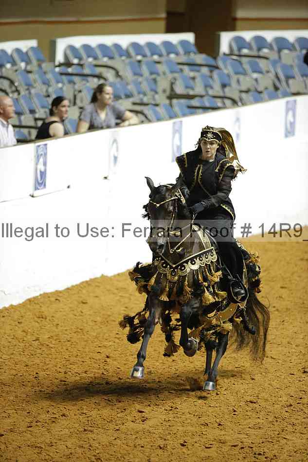 Proof Number 14r9_1527