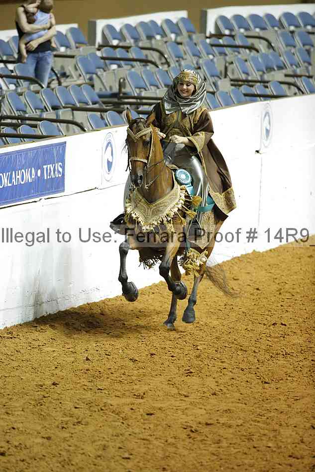 Proof Number 14r9_1539