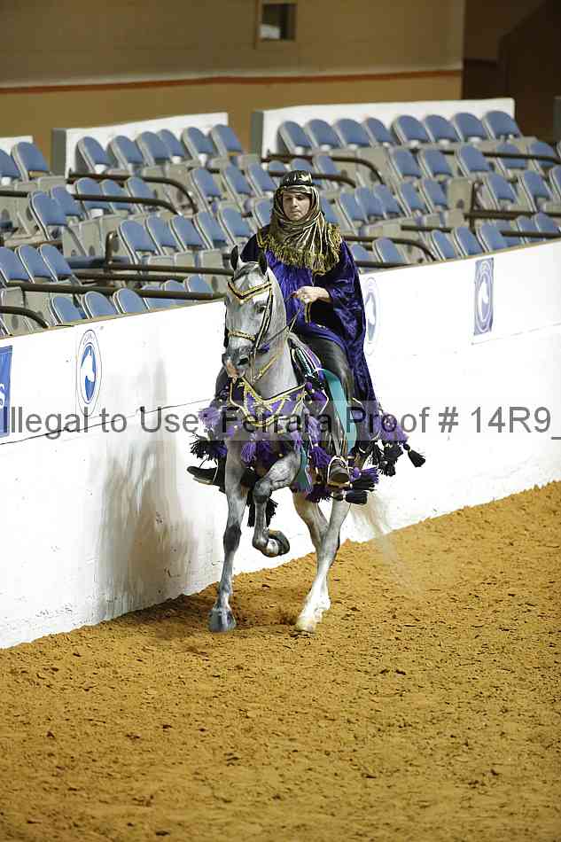 Proof Number 14r9_1544
