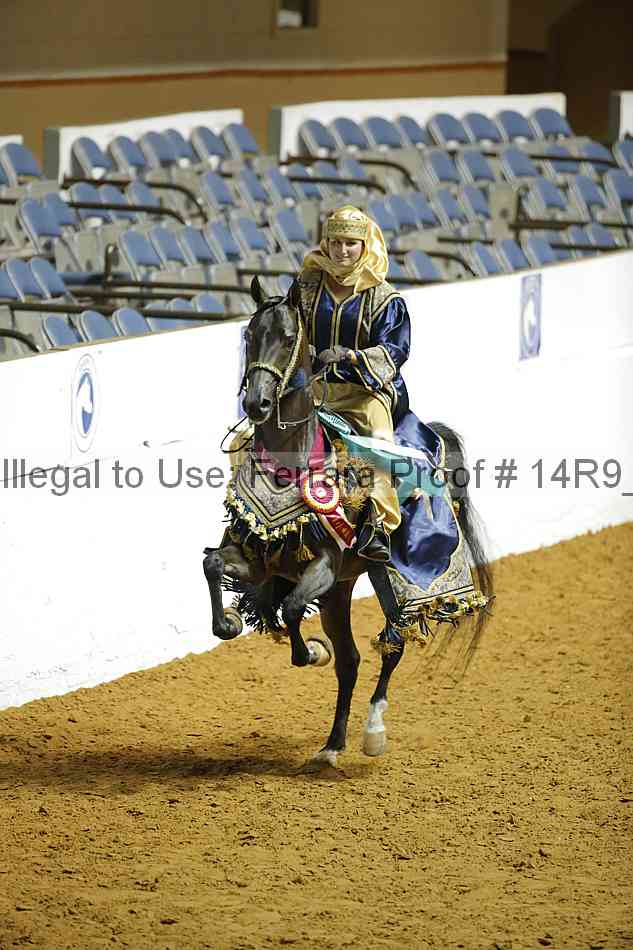 Proof Number 14r9_1547
