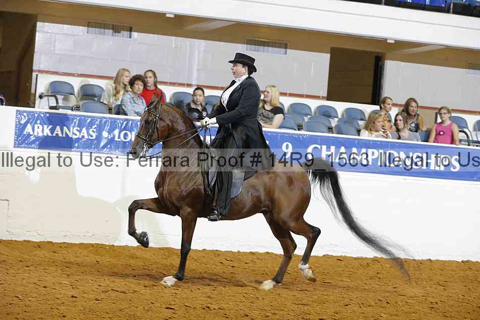 Proof Number 14r9_1563
