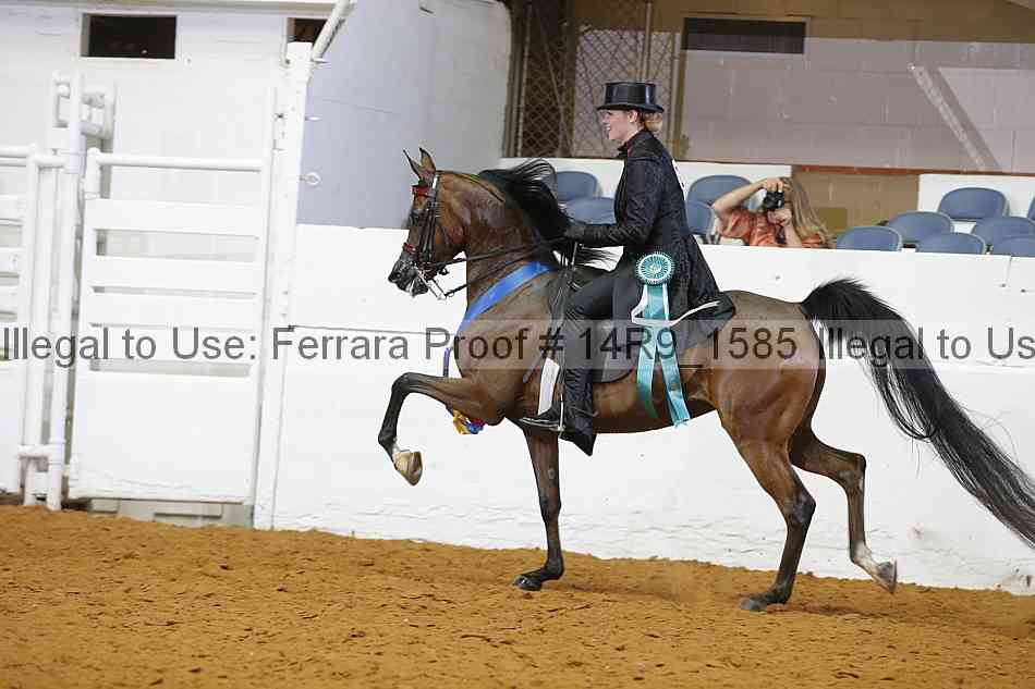 Proof Number 14r9_1585