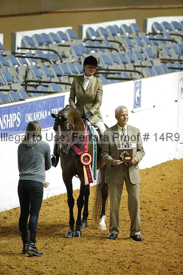 Proof Number 14r9_1616