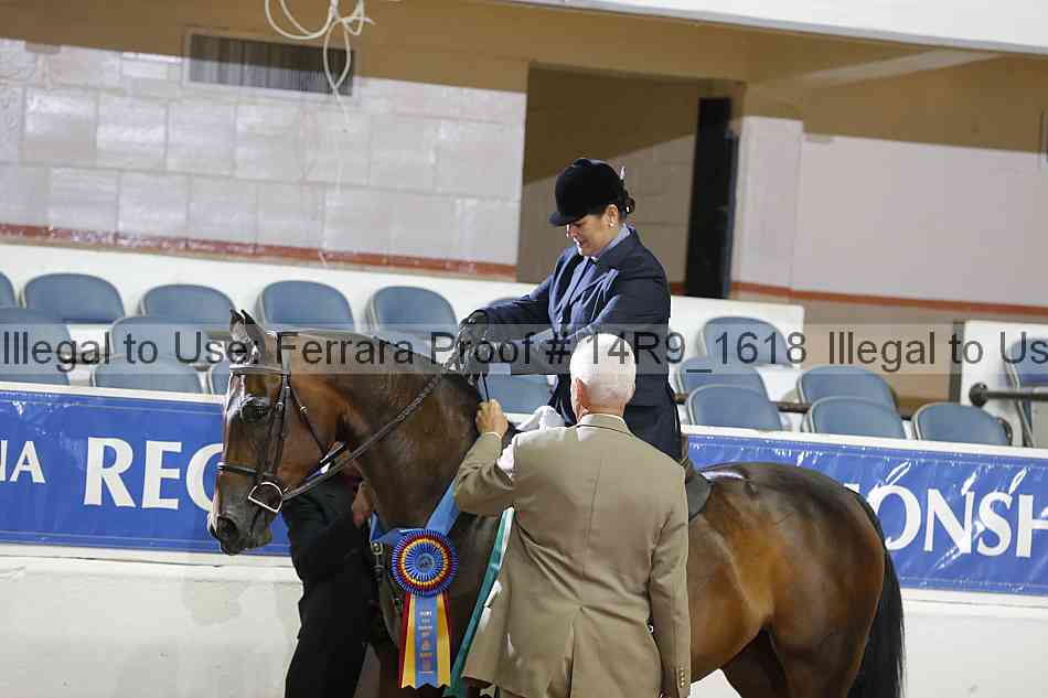Proof Number 14r9_1618
