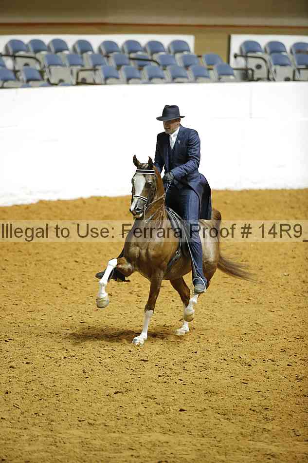 Proof Number 14r9_1655