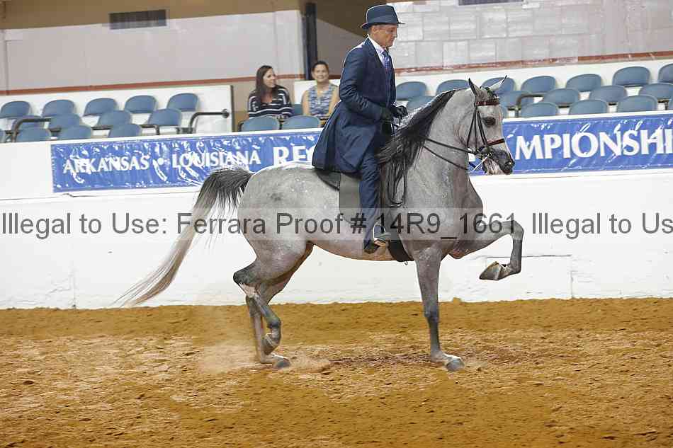 Proof Number 14r9_1661