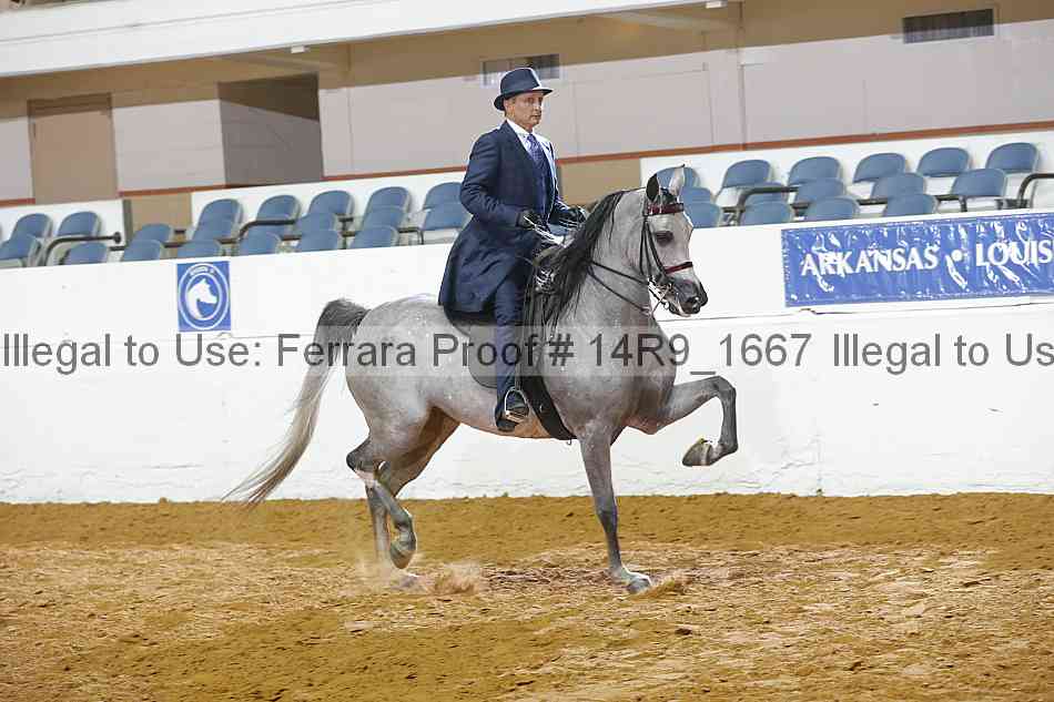 Proof Number 14r9_1667