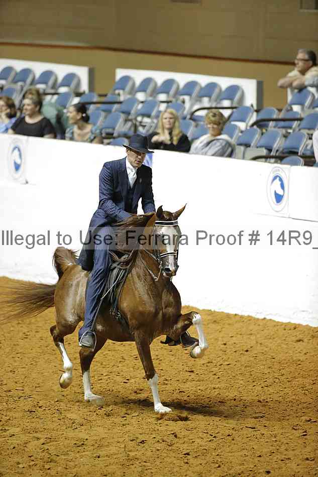 Proof Number 14r9_1668