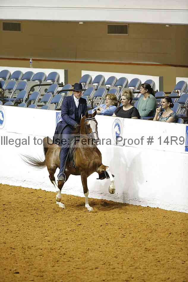 Proof Number 14r9_1671
