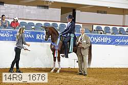 14r9_1676 thumbnail