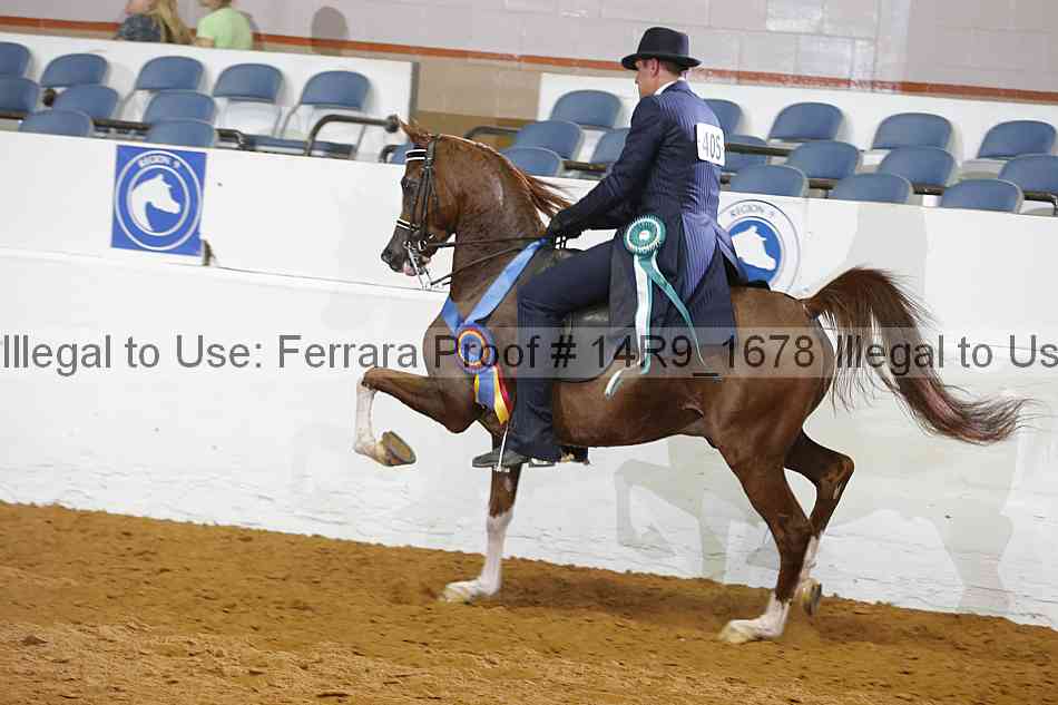 Proof Number 14r9_1678