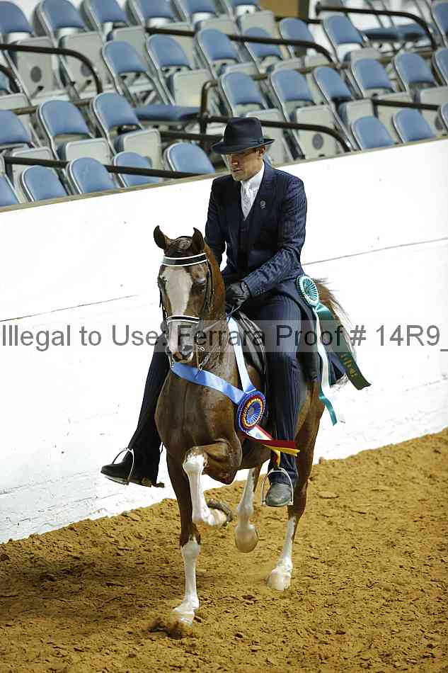Proof Number 14r9_1679
