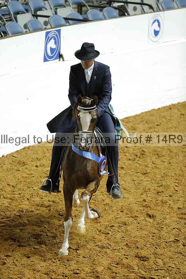Proof Number 14r9_1680