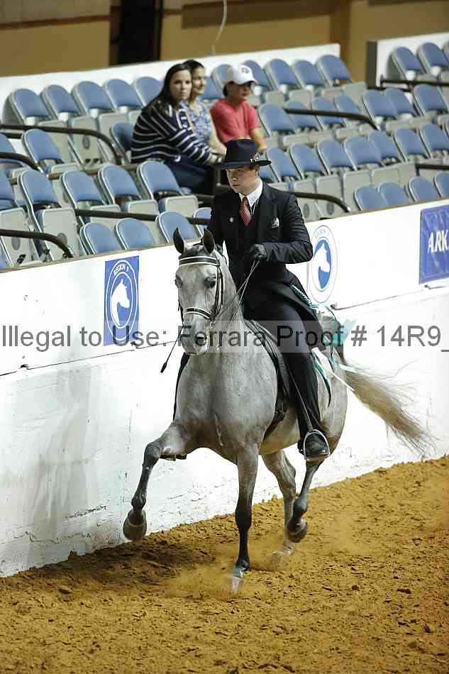 Proof Number 14r9_1686