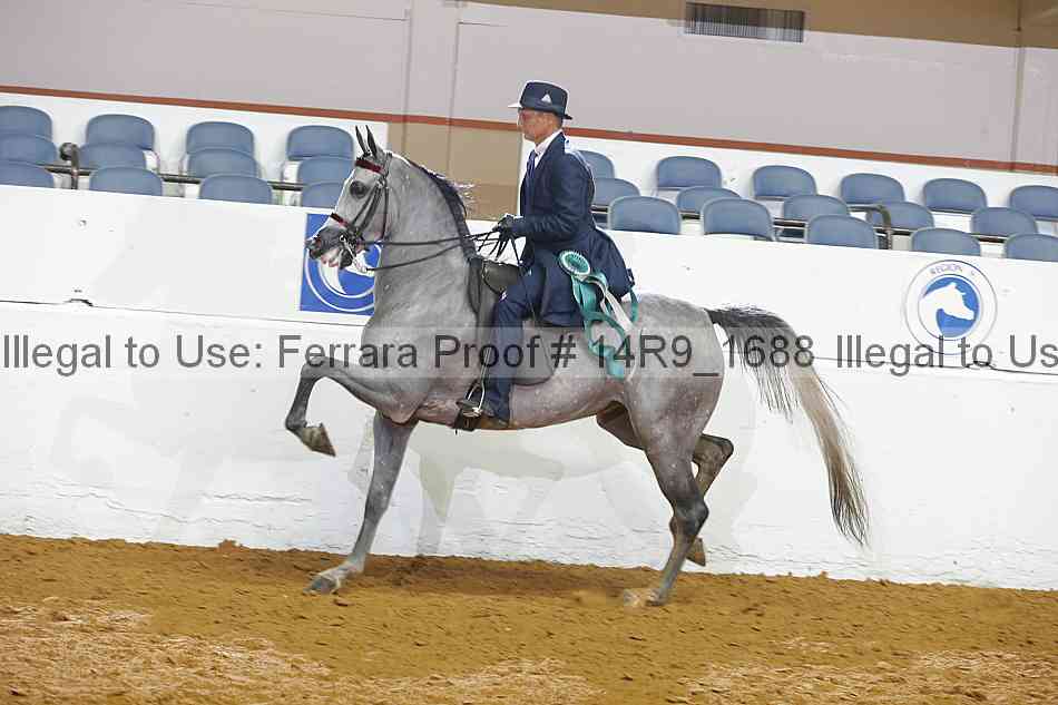 Proof Number 14r9_1688