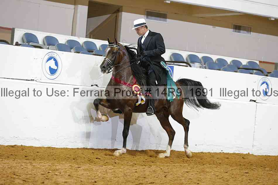 Proof Number 14r9_1691