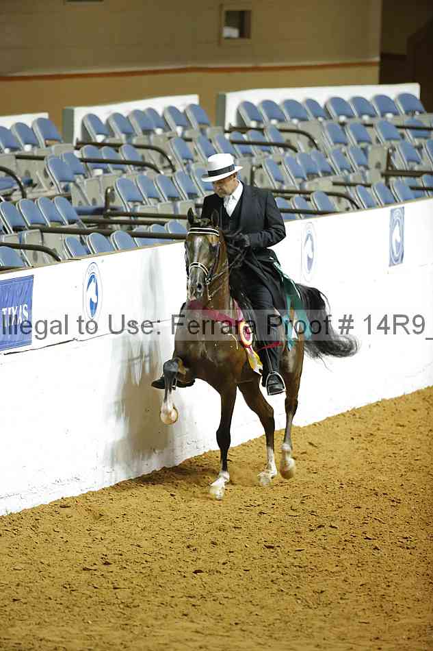 Proof Number 14r9_1694