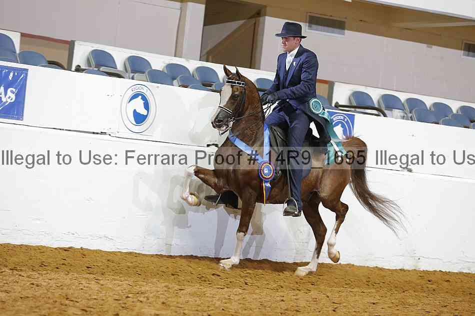 Proof Number 14r9_1695