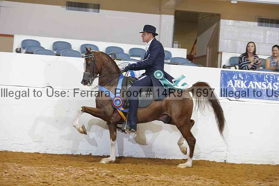 Proof Number 14r9_1697