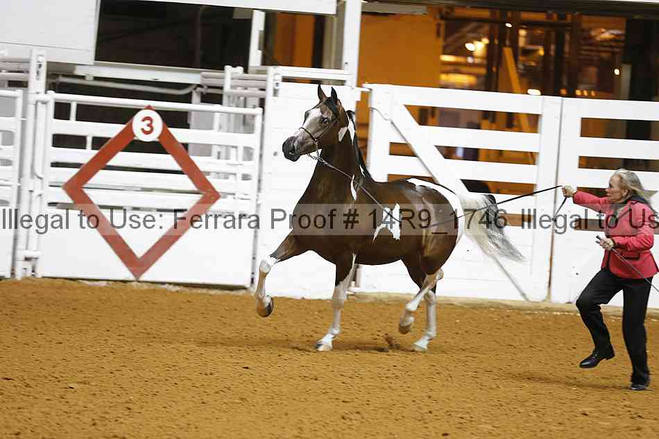 Proof Number 14r9_1746
