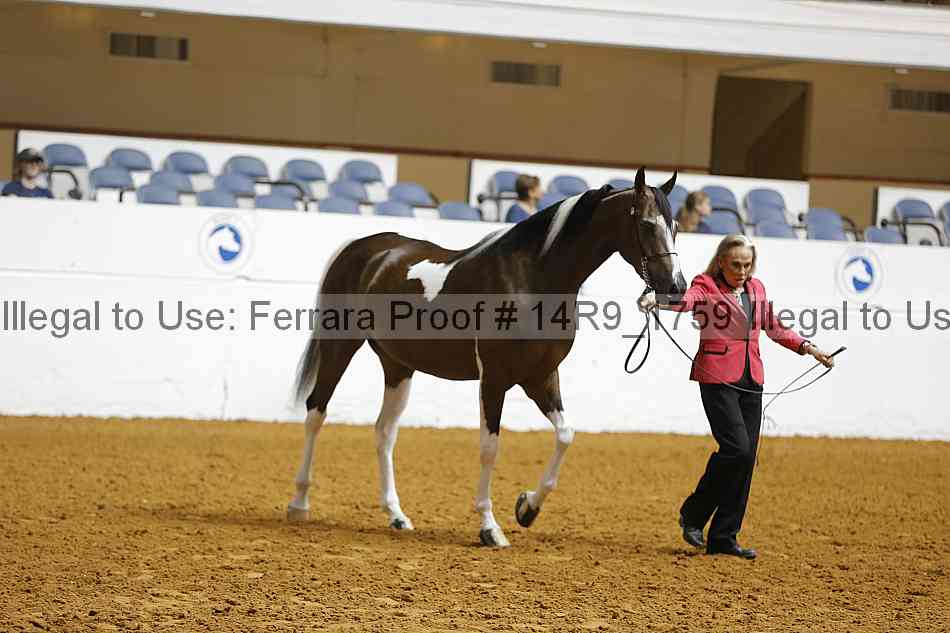Proof Number 14r9_1759