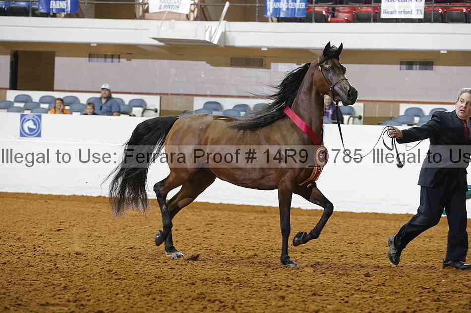Proof Number 14r9_1785
