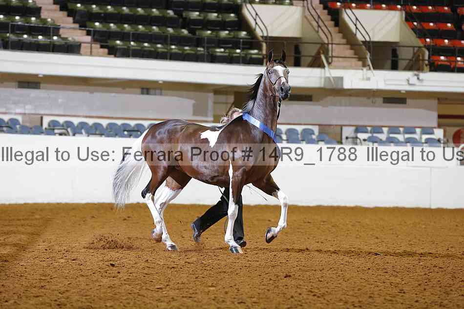 Proof Number 14r9_1788