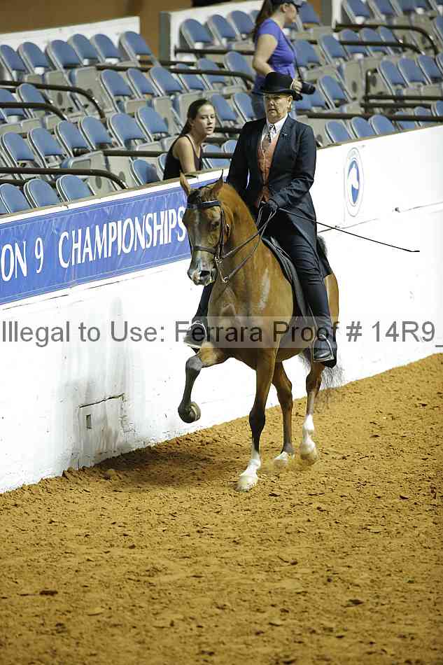 Proof Number 14r9_2025