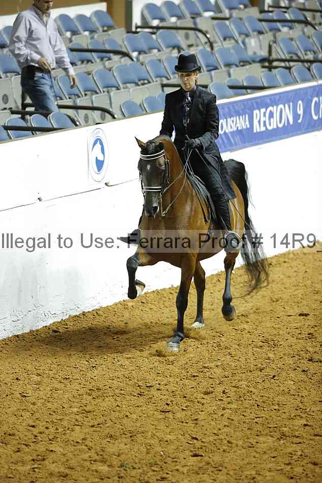 Proof Number 14r9_2033