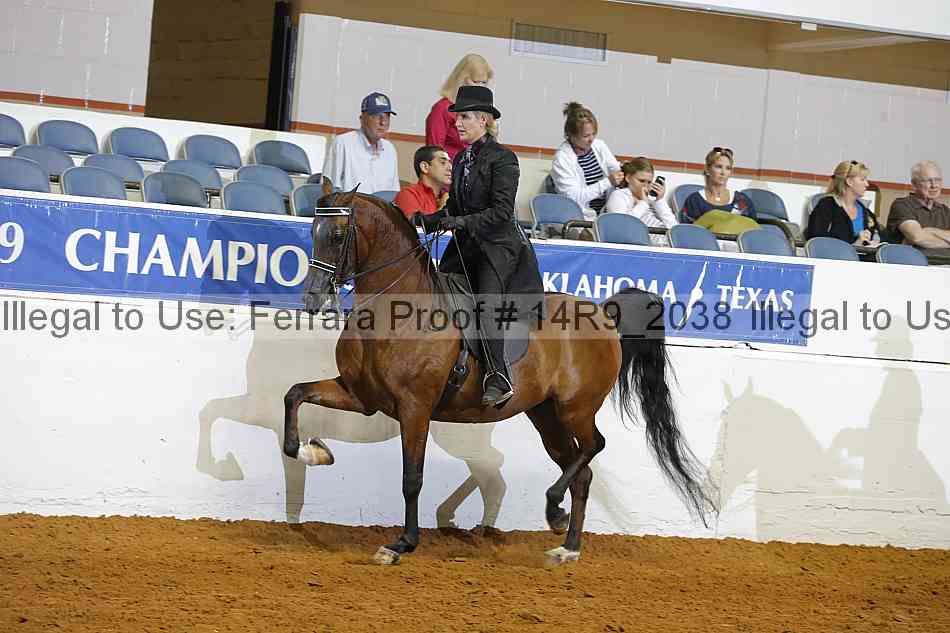 Proof Number 14r9_2038