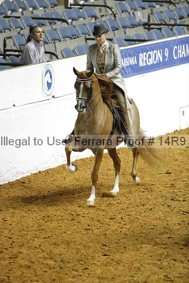 Proof Number 14r9_2039