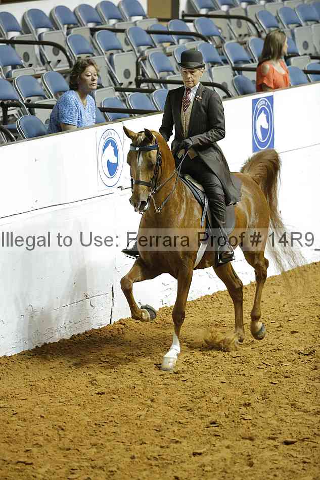 Proof Number 14r9_2040