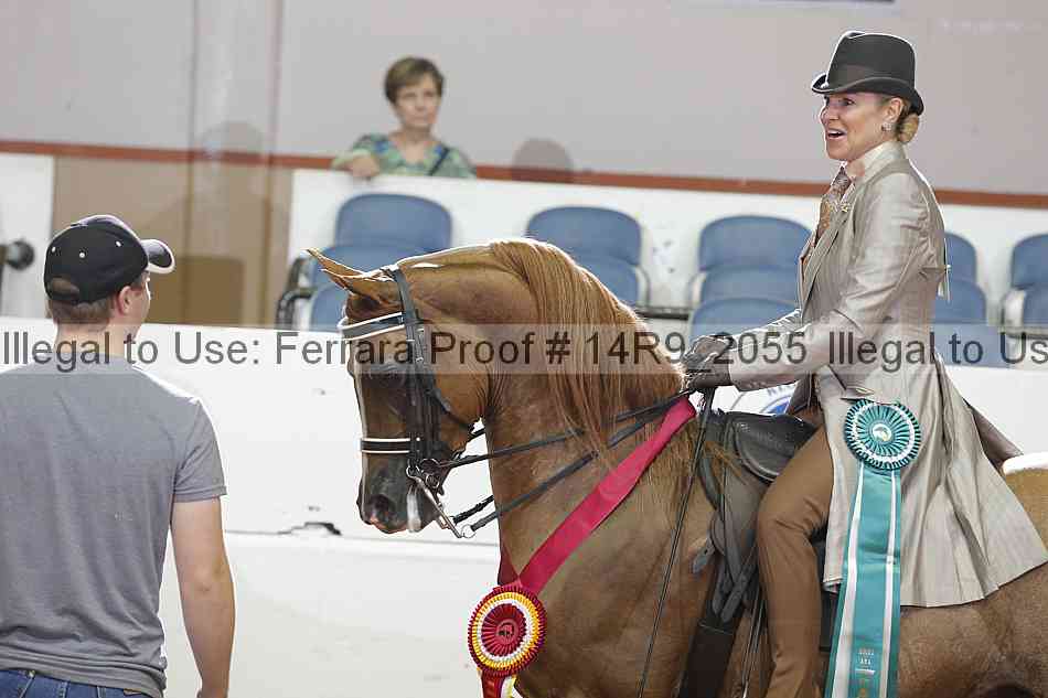 Proof Number 14r9_2055
