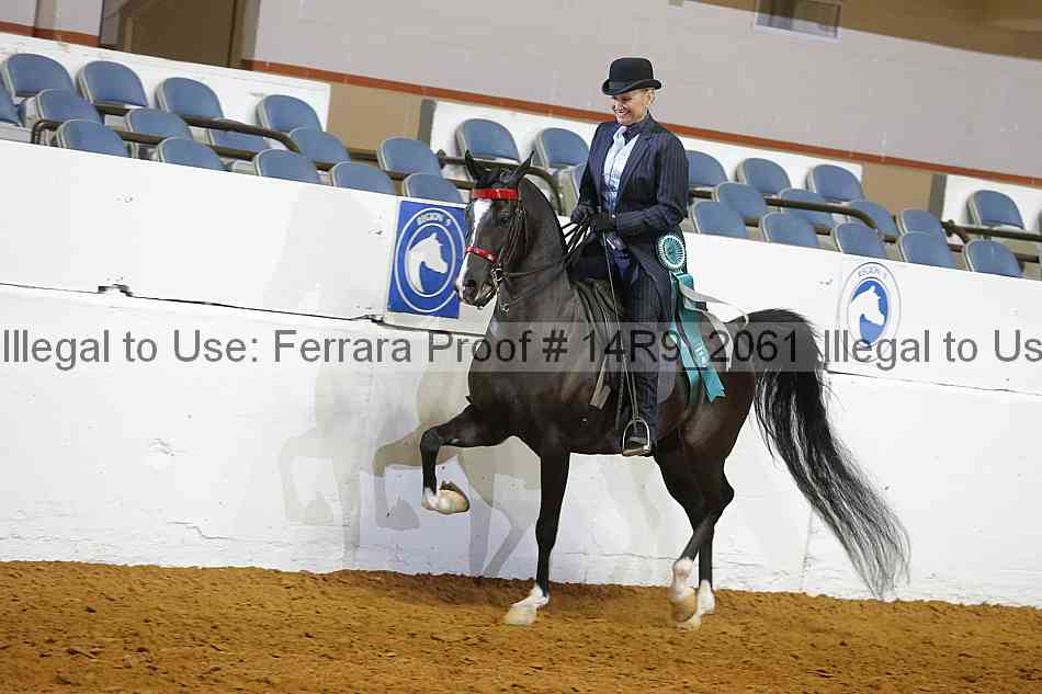 Proof Number 14r9_2061