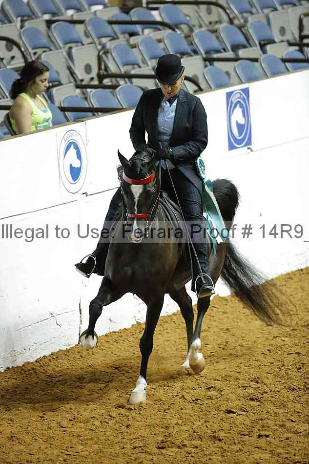 Proof Number 14r9_2064