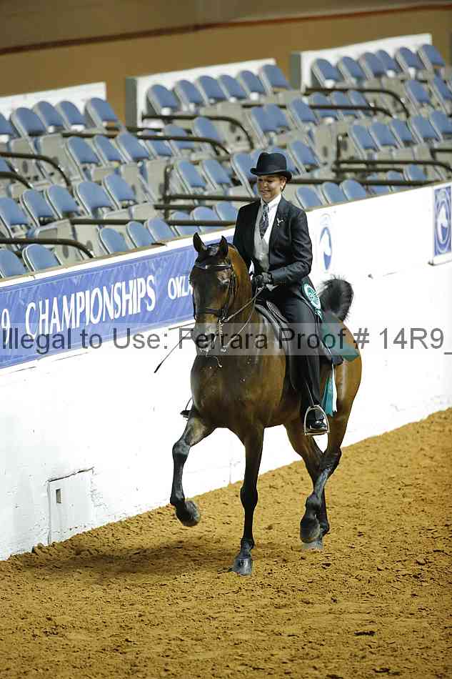 Proof Number 14r9_2067