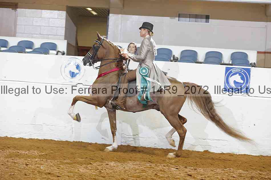 Proof Number 14r9_2072