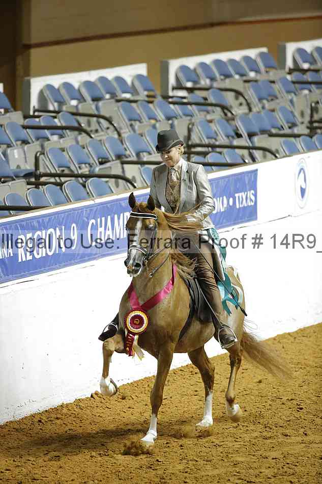 Proof Number 14r9_2074