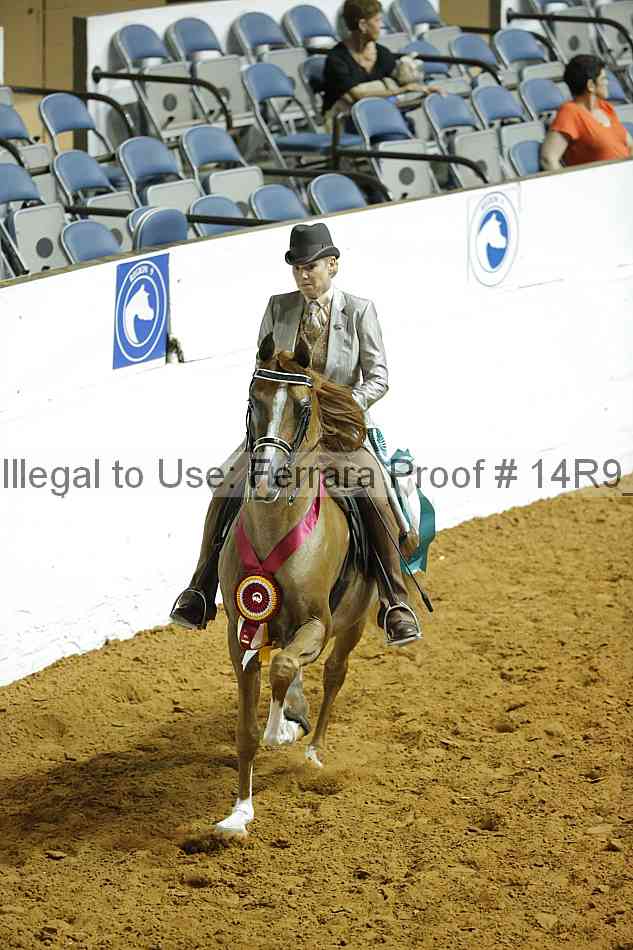 Proof Number 14r9_2075