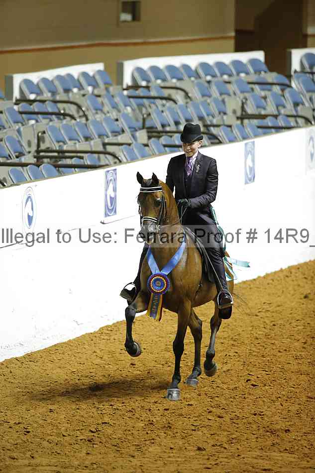 Proof Number 14r9_2079